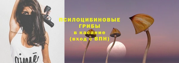 ГАЛЛЮЦИНОГЕННЫЕ ГРИБЫ Лабытнанги