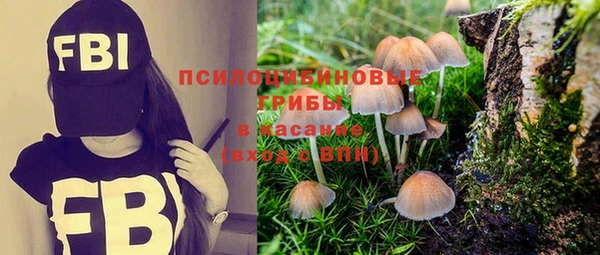 PSILOCYBIN Куйбышев