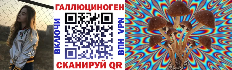 Псилоцибиновые грибы Psilocybine cubensis Лесосибирск
