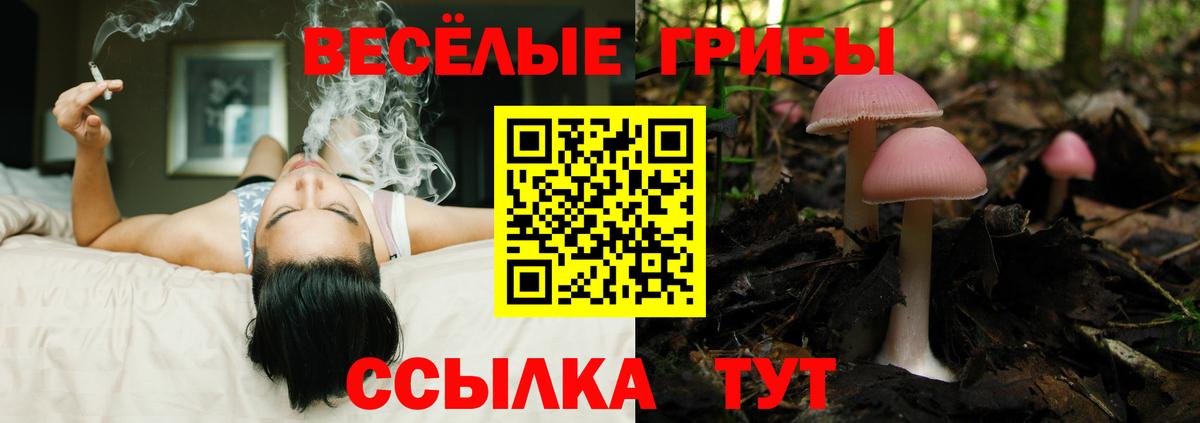 Псилоцибиновые грибы Cubensis  Вход с VPN  Галлюциногенные грибы ЛСД  Лесосибирск 